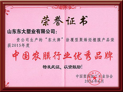 Dong Da Po film won excellent brand